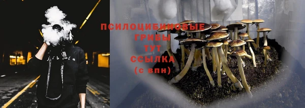 ГАЛЛЮЦИНОГЕННЫЕ ГРИБЫ Хадыженск