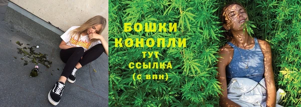 стафф Чекалин