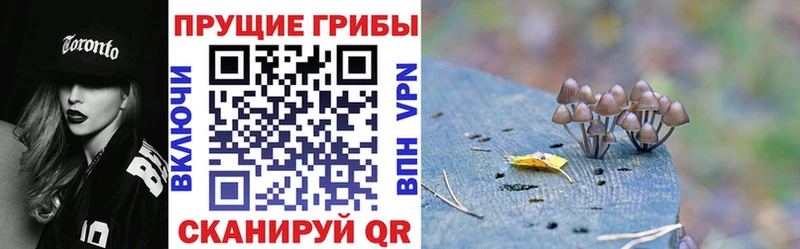 Галлюциногенные грибы мухоморы  Купить где  Новоузенск 